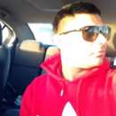 Discover the Thrills of Harry